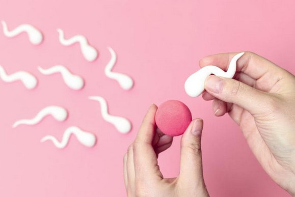 人工授精不育症検査